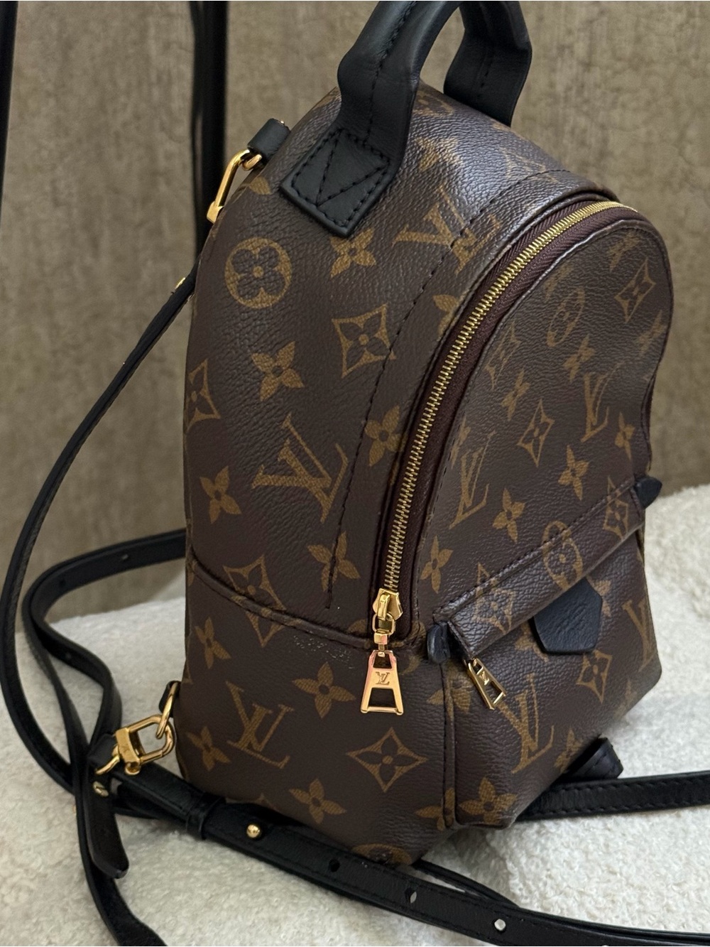 Louis Vuitton Palm Springs Mini Monogram Backpack - Picture 8 of 12